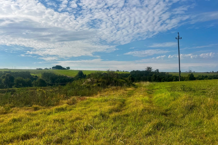 Commercial Property for Sale in George Rural Western Cape